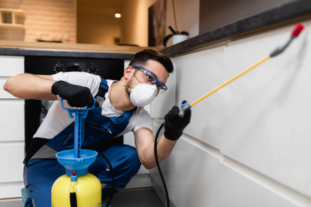 Best Affordable Pest Control Services  in Hernando, FL