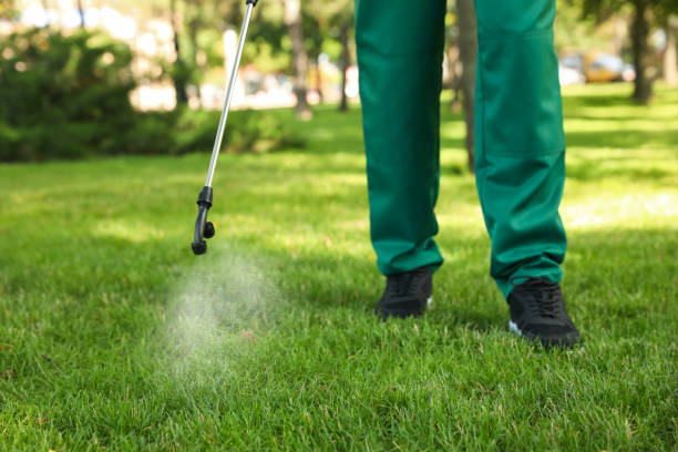 Best Rat Extermination Near Me  in Hernando, FL