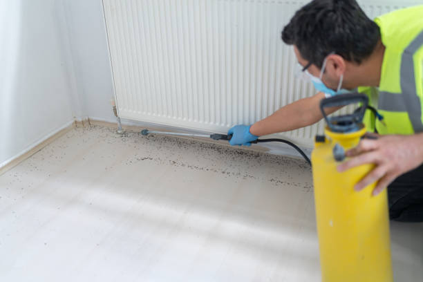 Best Flea Control Services  in Hernando, FL