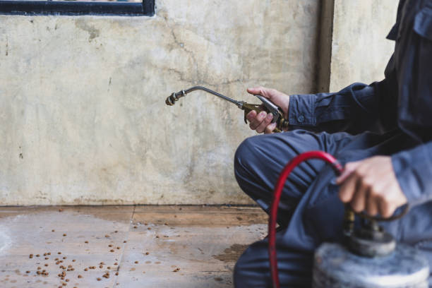 Best Affordable Exterminators  in Hernando, FL